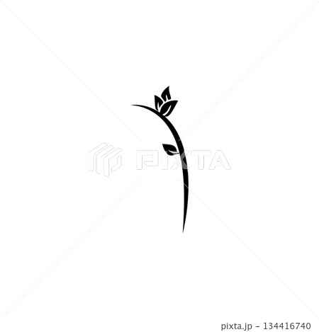 Icon vectors illustration stem and leaf symbol design 134416740