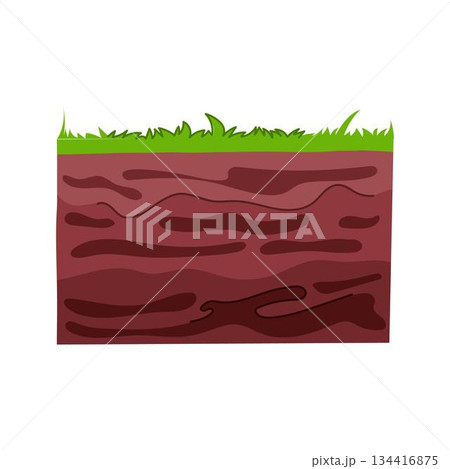 Soil layers with green grass cross section 134416875