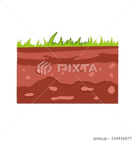 Cross section showing soil layers and green grass 134416877