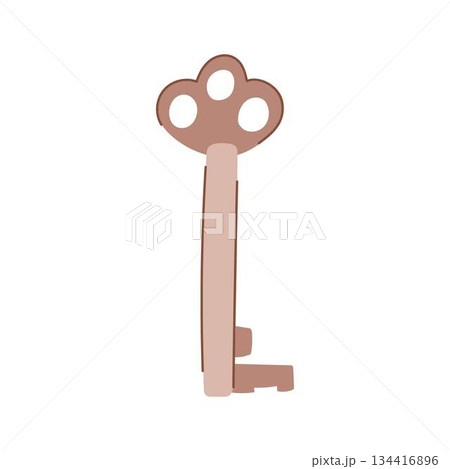 Skeleton key unlocking abstract access and security solutions 134416896
