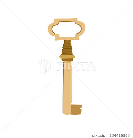 Skeleton key depicting access, secret, and solution concept 134416899