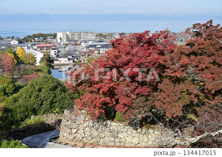 西の丸三重櫓からの紅葉（彦根城） 134417015