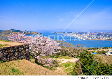 〈鳥取県〉桜と米子城跡からの眺望　米子港周辺　4月 134417149