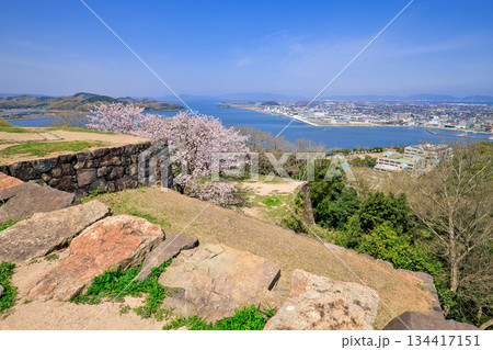 〈鳥取県〉桜と米子城跡からの眺望　米子港周辺　4月 134417151