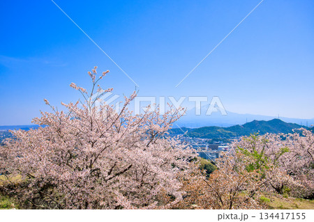 〈鳥取県〉春の米子城跡　大天守台から大山を望む風景　4月 134417155