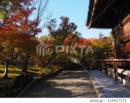 堺市 法道寺の紅葉 堺市 法道寺の紅葉 134417171
