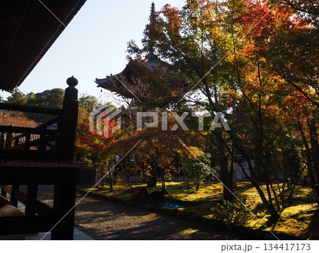 堺市 法道寺の紅葉 堺市 法道寺の紅葉 134417173