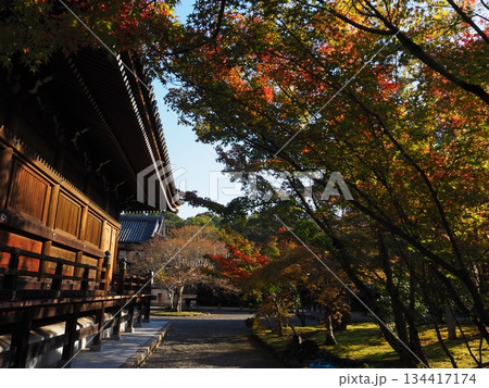 堺市 法道寺の紅葉 堺市 法道寺の紅葉 134417174