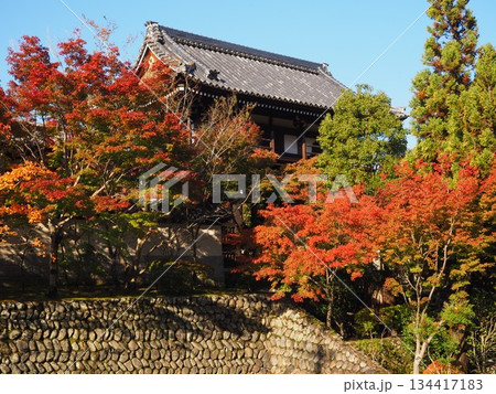 堺市　法道寺の紅葉 134417183