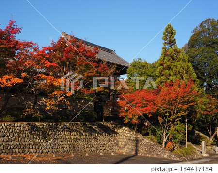 堺市　法道寺の紅葉 134417184