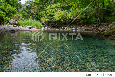 Pristine Mountain Stream with Clear Riverbed, Kinomata River, Tochigi, Japan 134417206