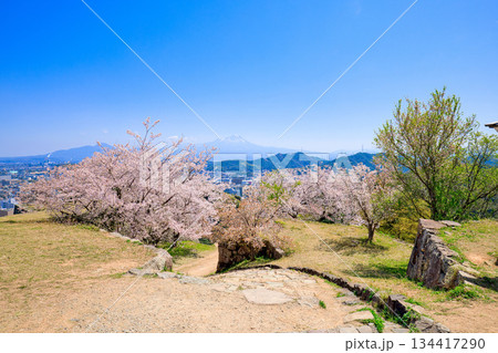 〈鳥取県〉米子城跡 鉄御門跡の桜と大山 4月 〈鳥取県〉米子城跡 鉄御門跡の桜と大山 4月 134417290