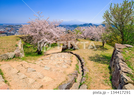 〈鳥取県〉米子城跡 鉄御門跡の桜と大山 4月 〈鳥取県〉米子城跡 鉄御門跡の桜と大山 4月 134417291