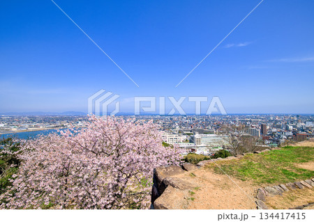 桜と米子城跡からの眺望　米子港周辺　4月 134417415