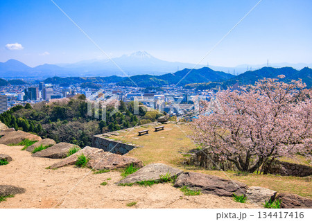 〈鳥取県〉米子城跡　城山頂上の礎石の遺構　4月 134417416