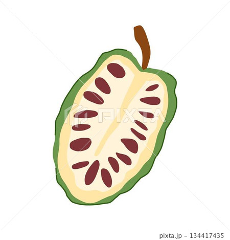 Noni fruit split in half showing seeds Noni fruit split in half showing seeds 134417435