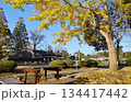 ＜千葉県＞萩原交通公園（茂原市） 134417442