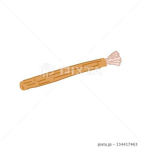 Miswak natural teeth cleaning stick oral hygiene illustration Miswak natural teeth cleaning stick oral hygiene illustration 134417463