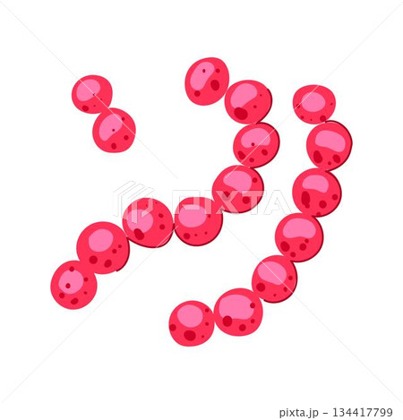 Lactobacilli bacteria forming microbiome chain illustration 134417799