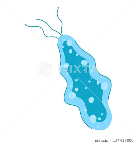 Illustrating lactobacilli bacteria forming gut microbiome for digestion 134417800