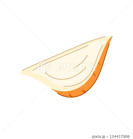 Jicama root slice single cross section illustration Jicama root slice single cross section illustration 134417806