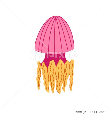 Pink jellyfish cartoon vector element for marine life design Pink jellyfish cartoon vector element for marine life design 134417848