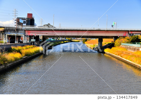 早瀬人道橋／新河岸川より上流(笹目橋)方向を望む(東京都板橋区)【2025.11】 134417849