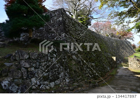 井戸曲輪付近と石垣(彦根城) 井戸曲輪付近と石垣(彦根城) 134417897