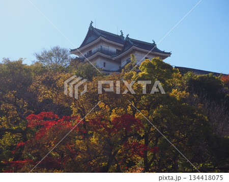 和歌山城公園の紅葉 134418075