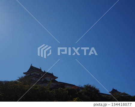 和歌山城公園の紅葉 134418077