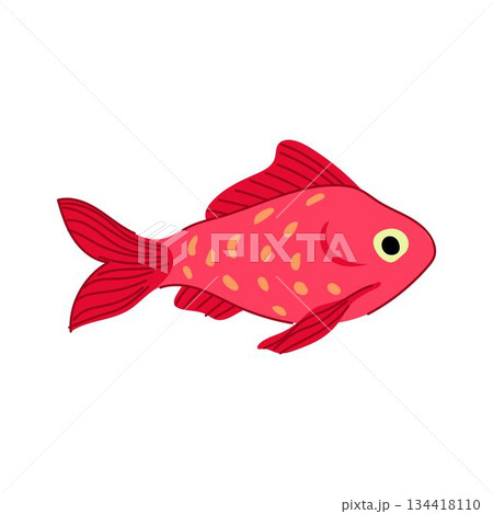 Goldfish swimming, cute cartoon fish illustration 134418110
