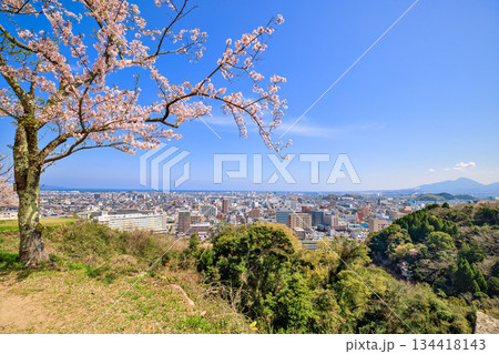 〈鳥取県〉春の米子城跡　桜咲く風景　4月 134418143