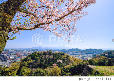 〈鳥取県〉春の米子城跡　桜と大山を望む風景　4月 134418144