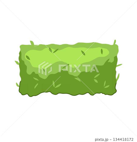Garden hedge green plant landscaping element top view Garden hedge green plant landscaping element top view 134418172