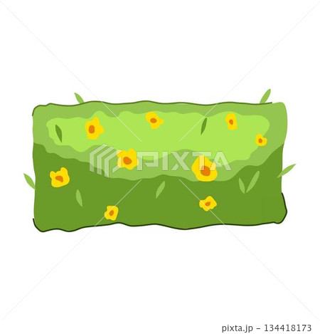 Green garden hedge with yellow flowers blooming Green garden hedge with yellow flowers blooming 134418173