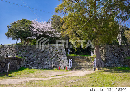 〈鳥取県〉米子城跡 枡形内から見た二の丸への虎口 4月 〈鳥取県〉米子城跡 枡形内から見た二の丸への虎口 4月 134418302