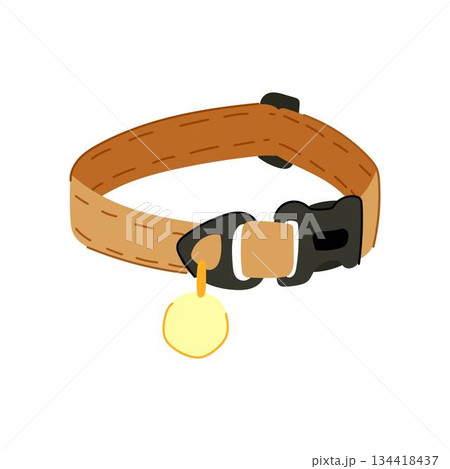 Pet collar with blank id tag for dog or cat Pet collar with blank id tag for dog or cat 134418437
