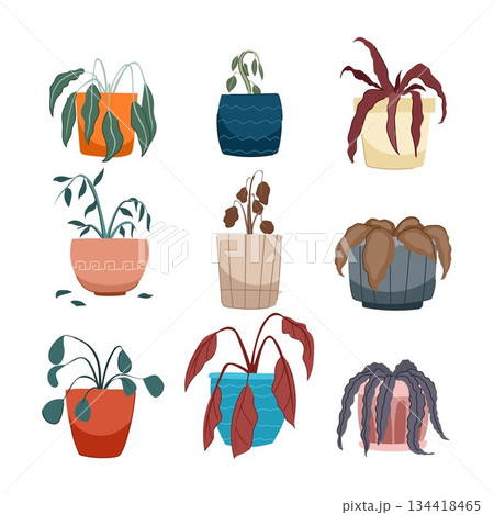 Dying potted plants showing neglect and lack of care Dying potted plants showing neglect and lack of care 134418465