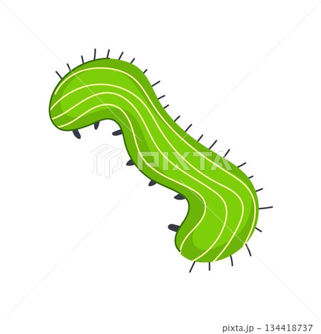 Green caterpillar body with spikes and stripes 134418737