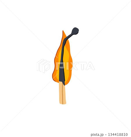 Burning wooden matchstick illustrating light and ignition concept 134418810