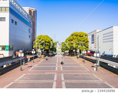 東京 多摩センター 東京 多摩センター 134418898