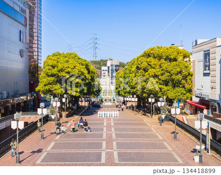 東京 多摩センター 東京 多摩センター 134418899
