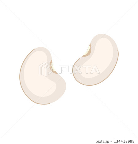 White beans illustrating plant based healthy diet White beans illustrating plant based healthy diet 134418999