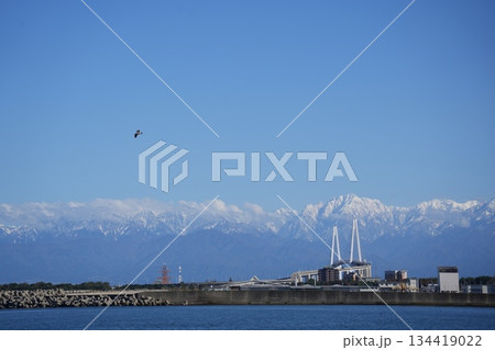 立山連峰と新湊大橋の絶景 立山連峰と新湊大橋の絶景 134419022