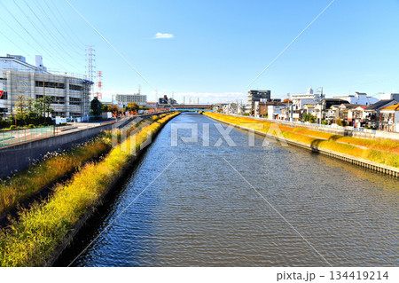 早瀬橋／新河岸川より上流(早瀬人道橋)方向を望む(東京都板橋区)【2025.11】 134419214