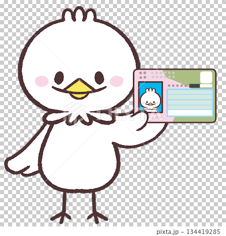 マイナカードを見せる白い鳥のイラスト 134419285