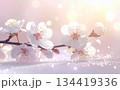 梅の花と幻想的なパステルカラーの背景イメージ 134419336