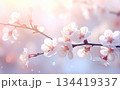 梅の花と幻想的なパステルカラーの背景イメージ 134419337