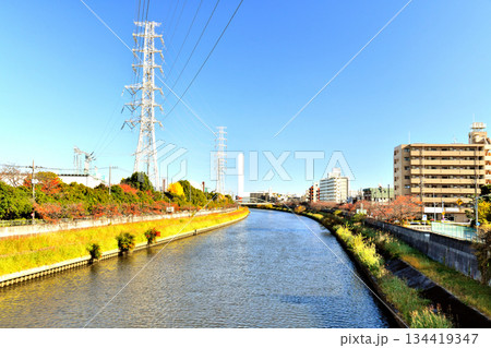 早瀬橋／新河岸川より下流(芝原橋)方向を望む(東京都板橋区)【2025.11】 134419347