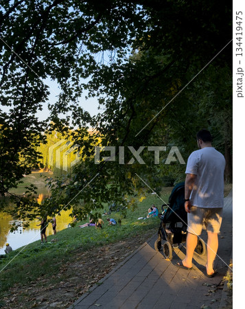 Man with Stroller by Pond in Park 134419475